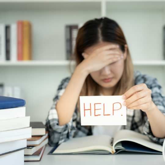 Estudantes estrangeiros sobrevivem ao ataque a Harvard