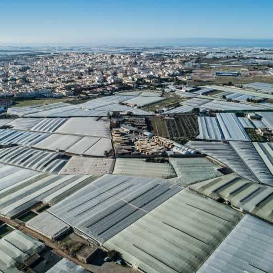 ‘Mar de Plástico’: como estufas no sul da Espanha transformaram o deserto em horta da Europa